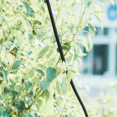 leyu乐鱼下载手机版截图