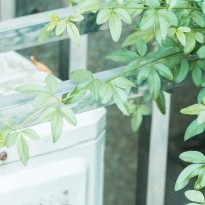 leyu乐鱼下载手机版截图